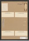 Amphora ostrearia var. ? porcellus Kitton (de-Toni-Nr.: Genus 36, Species 1504) Zeichnungen Sammlung Grunow Nr. 2906 (NHMW-BOT-W0370245)